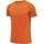 ORANGE TIGER
