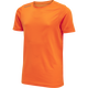 ORANGE TIGER